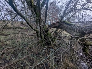 55121003577 e086a1ef01 o