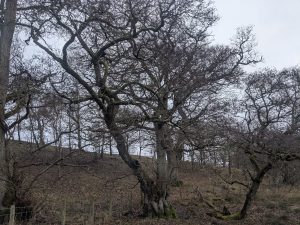 55121882866 f0a2f6384a o