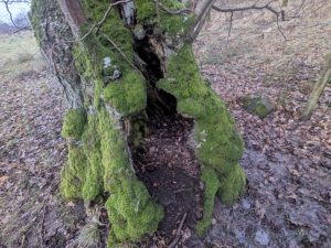 55122086093 6923b3034f o