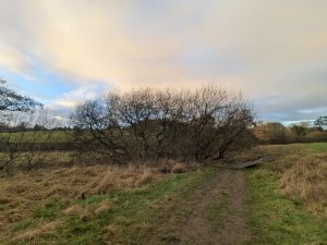 55122090878 3e86a5645c o