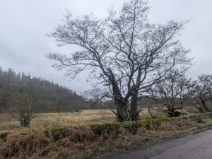 55122136449 3cce17abe2 o