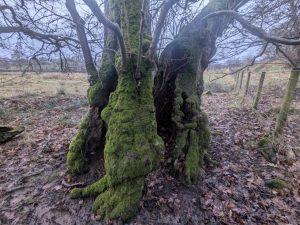 55122138314 b72e449c85 o