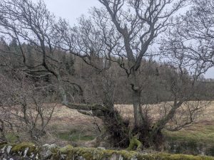 55122270350 3a0b2fd5f8 o