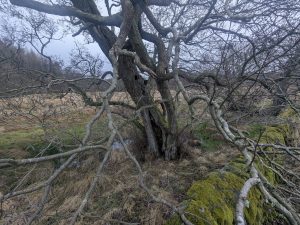 55122271425 9c036f08dc o