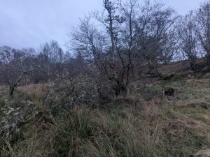 55122273825 8cbd07f9e3 o