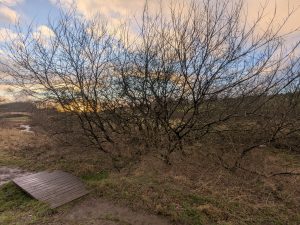 55122278165 d05c7b4387 o