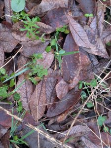 55122278640 f5efcfba3f o