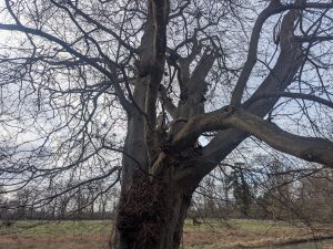 55126085192 5867cdf105 o