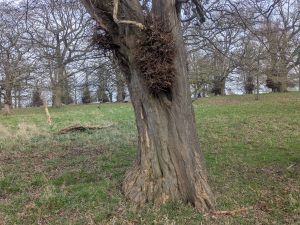 55126085337 8ea9002aab o