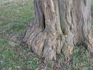 55126085567 82cb2fdd8c o