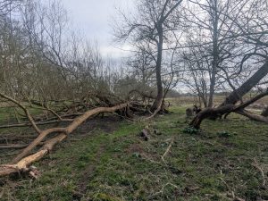 55127149873 6c5a3c81f8 o