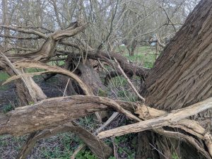 55127149968 1a50737f33 o