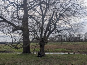 55127150588 490efc1f8f o