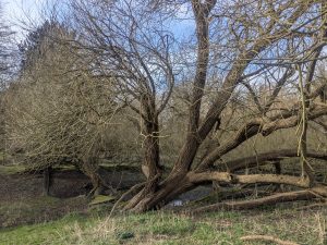 55127209469 eb07a74978 o