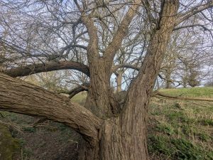 55127209599 98044c5352 o