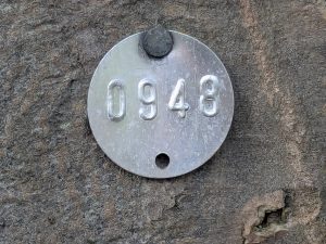 55127357000 33df48a766 o