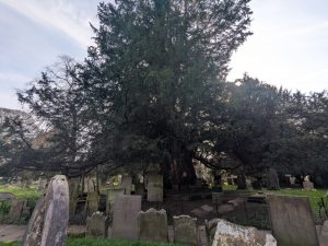 55156956886 5ae34cb696 o