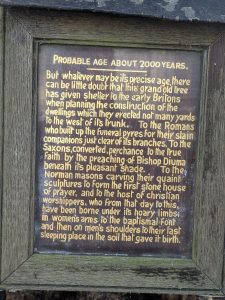 55156956906 7146995b0f k