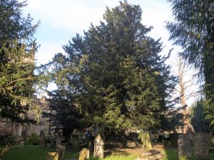 55156957711 86ed10f87c o