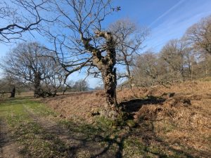 55157077963 60b195208b o