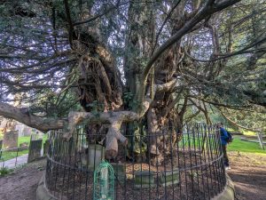 55157194699 0384cae26d o