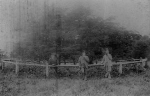 ba 245w hethel thorn