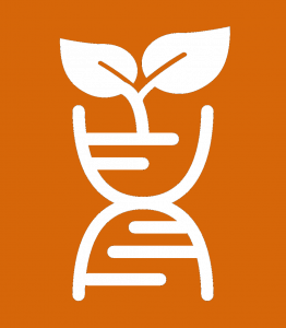 ancienttreenursery.com/trees/ATN250013NFKCHW