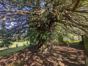 55194852466 17219cdd5d o