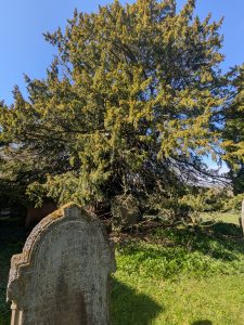 55194855136 bd473cf85b o